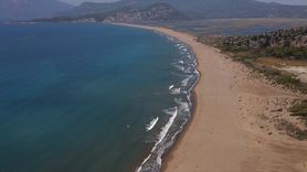 İztuzu Sahili'nde Caretta Caretta Yuvaları Rekor Kırdı