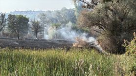 Karabük'te Anız Yangını Kontrol Altına Alındı