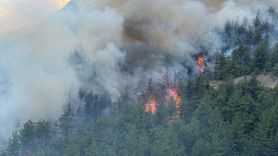 Karabük'te Yeniden Orman Yangını Başladı