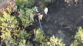 Kastamonu'da Orman Yangını Kontrol Altına Alındı