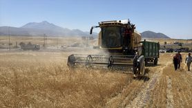 Kayseri'de Tarımsal Üretim Artışı ve Desteklemeler