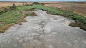 Kırkkepenekli Göleti'nde Balık Ölümleri: Kuraklık Etkisi