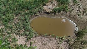 Kırklareli'nin Sazlık Göleti Kuruma Tehlikesiyle Karşı Karşıya