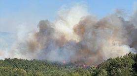Kocaeli'de Orman Yangınına Hızla Müdahale Ediliyor