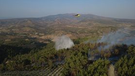 Manisa'daki Orman Yangını Kontrol Altına Alındı