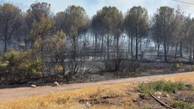 Manisa Soma'daki Orman Yangınına Hava ve Karadan Müdahale