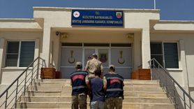 Mardin'de Kısırlaştırma Paylaşımından Gözaltı