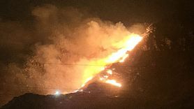 Marmara Adası'ndaki Orman Yangını Kontrol Altına Alındı