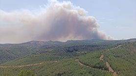 Mersin'de Orman Yangınına Hızla Müdahale Ediliyor