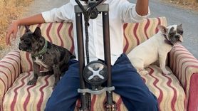 Muğla'da Skuterle Köpekli Yolculuk