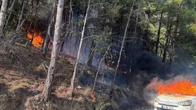 Muğla'da Yangın Tehlikesi: Otomobilden Ormana Sıçrayan Alevler Kontrol Altına Alındı