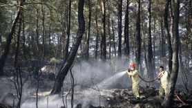 Muğla'daki Orman Yangını Kontrol Altına Alındı