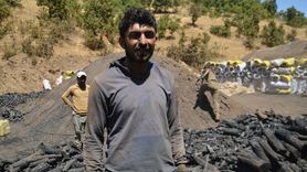 Muş'ta Mangal Kömürü Üretimi Zorlu Sıcaklıklarla Yapılıyor