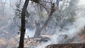 Nevşehir'deki Örtü Yangını Kontrol Altına Alındı