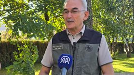 Orman Yangınlarına Karşı Farkındalık ve Mücadele Önemli