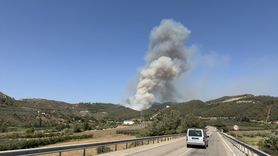 Osmaniye'de Orman Yangını Kontrol Altına Alınmaya Çalışılıyor