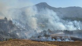 Osmaniye'de Orman Yangını Kontrol Altında