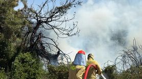 Osmaniye'deki Orman Yangını Kontrol Altına Alındı