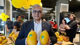 Pakistan Mangosu İstanbul'da Tanıtıldı