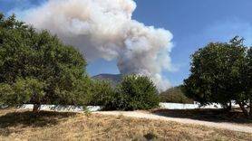 Pamukkale'de Orman Yangını: Hava ve Karadan Mücadele Başlatıldı