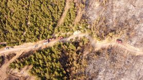 Pamukkale'de Orman Yangını Kontrol Altına Alındı