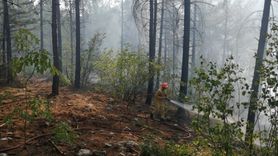 Pozantı'da Otomobil Yangını Ormana Sıçradı