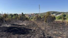 Sakarya'da Orman Yangını Kontrol Altına Alındı
