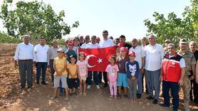 Şanlıurfa'da Fıstık Hasadı Başladı