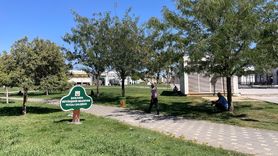 Şanlıurfa'da Sıcaklık 55 Dereceyi Buldu