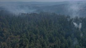 Sinop'ta Orman Yangınına Mücadele Devam Ediyor