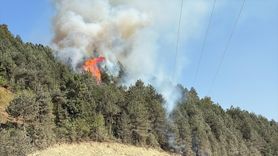 Sinop'ta Orman Yangınına Müdahale Devam Ediyor