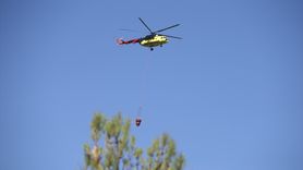 Sinop'taki Orman Yangını Kontrol Altında