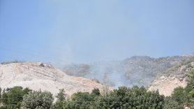 Şırnak'ta Orman Yangını Kontrol Altına Alındı