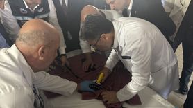 Tarım ve Orman Bakanı Yumaklı, Trabzon’da İncelemelerde Bulundu