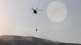 Tekirdağ'daki Orman Yangını Kontrol Altında