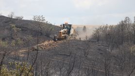 Tekirdağ'daki Orman Yangınına Müdahale Devam Ediyor