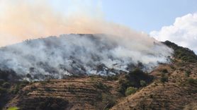 Tekirdağ Şarköy'de Orman Yangınına Müdahale Devam Ediyor