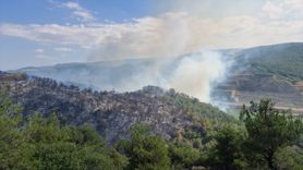 Tokat'ta Orman Yangını Denetim Altına Alındı