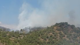 Tokat'ta Orman Yangınına Müdahale Başladı