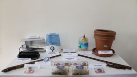 Tunceli'de Kenevir Yetiştiren Şüpheli Yakalandı