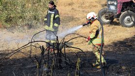 Turgutlu'daki Tarım Arazisinde Yangın Kontrol Altına Alındı