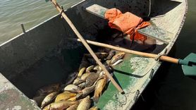 Van'da Kaçak Balık Avına Ceza