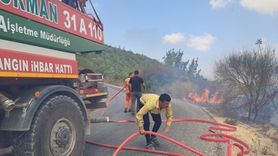 Yayladağı'ndaki Orman Yangını Kontrol Altına Alındı