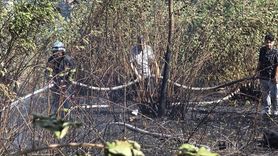 Zonguldak'ta Orman Yangınları Kontrol Altına Alındı