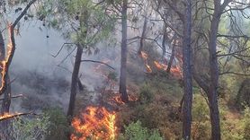 Adana'da Orman Yangınına Hızlı Müdahale