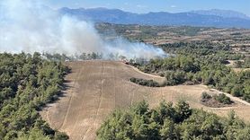 Adana Sarıçam'daki Orman Yangını Kontrol Altında