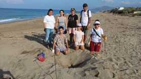 Alanya'da Caretta Caretta Yavrularının Denize Yolculuğu Görüntülendi
