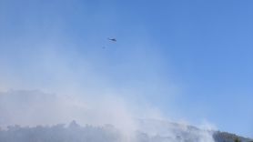 Alanya'daki Orman Yangınına Müdahale Devam Ediyor