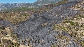 Alanya'daki Orman Yangınının Yaraları Havadan Görüntülendi