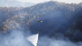 Alanya'daki Yangınlarla İlgili Son Gelişmeler